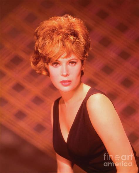 jill st. john naked|Jill St John Pictures Search (3 galleries)